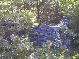 The Davis Cemetery in 2002