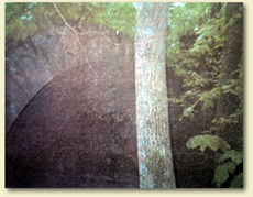 Furnace entrance at Empire State Iron Works.